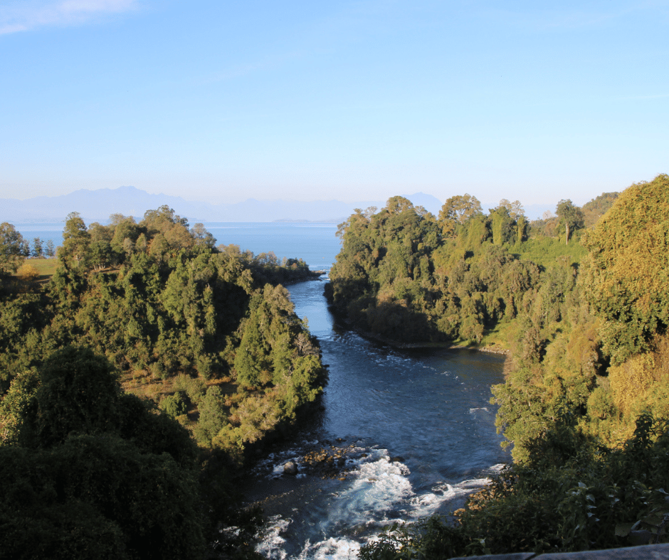 Valdivia Image 2