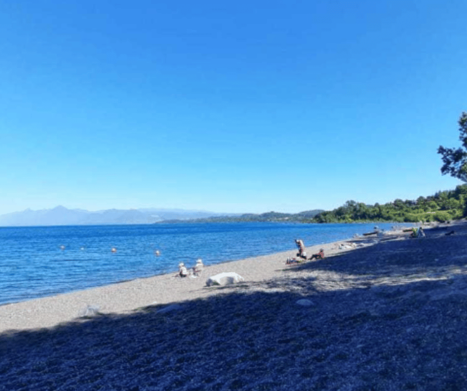 Valdivia Image 2