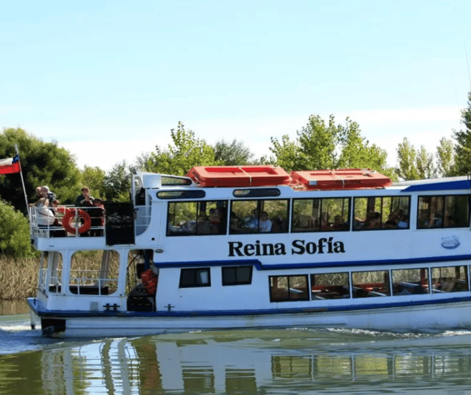 Valdivia Image 2