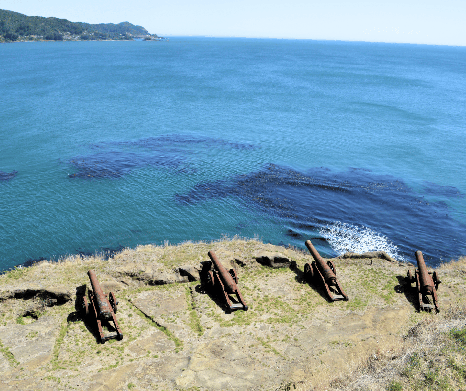 Valdivia Image 1
